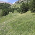 Vallon de Crouzet