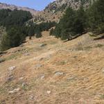 Vallon de Crouzet
